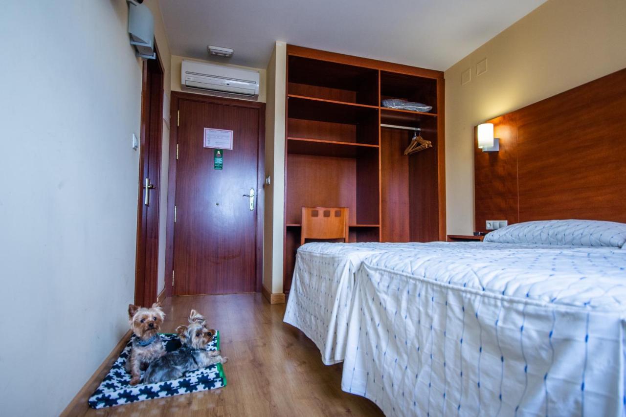 Pension Viella Asturias Oviédo Exterior foto